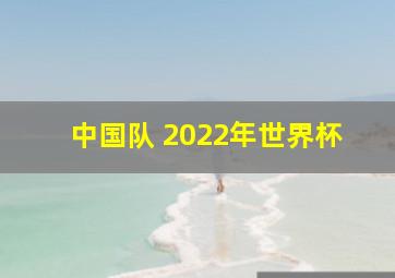 中国队 2022年世界杯